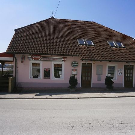 Horní Planá 奥利弗旅馆酒店 外观 照片