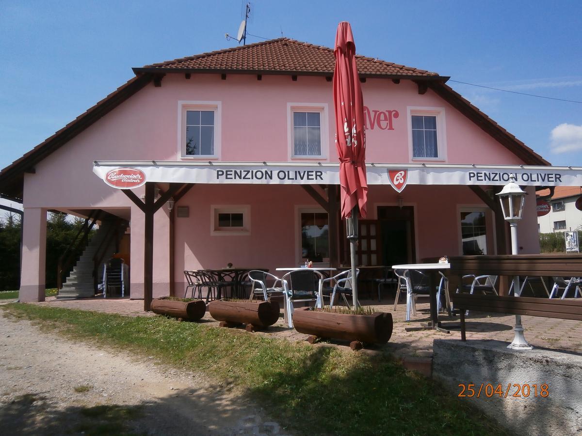 Horní Planá 奥利弗旅馆酒店 外观 照片