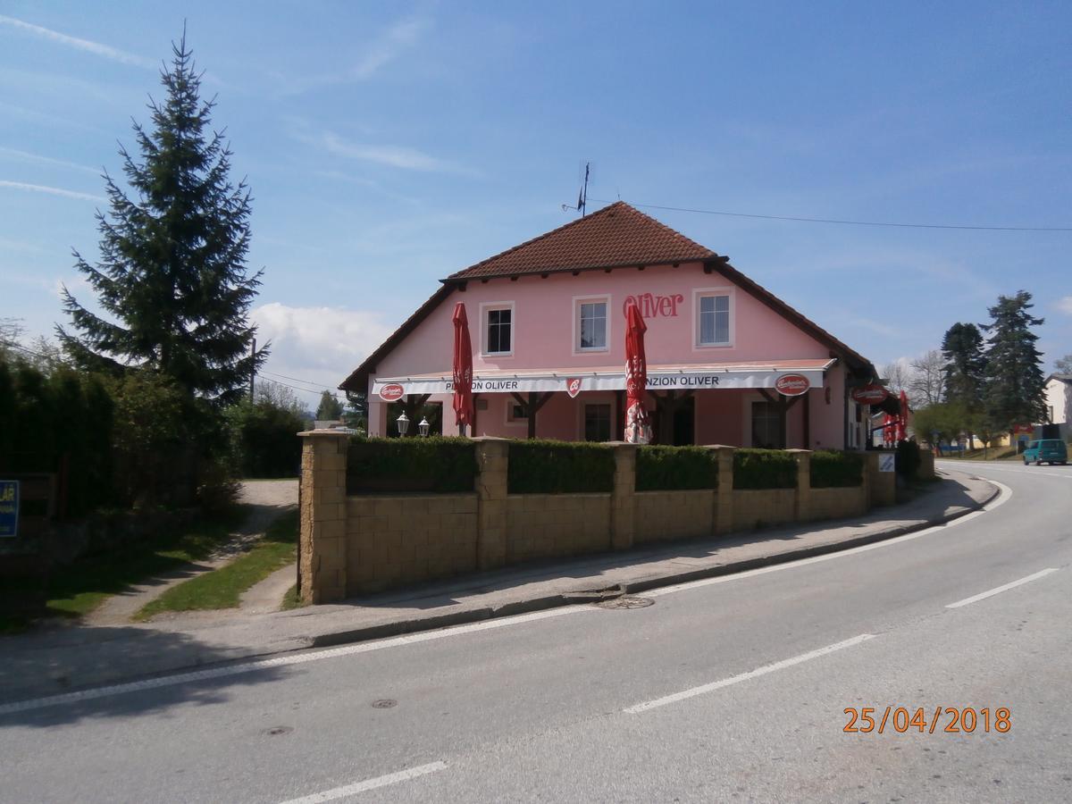 Horní Planá 奥利弗旅馆酒店 外观 照片